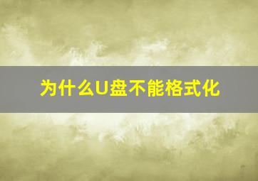 为什么U盘不能格式化