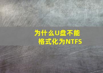 为什么U盘不能格式化为NTFS