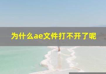 为什么ae文件打不开了呢