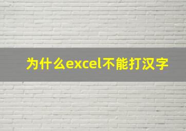 为什么excel不能打汉字