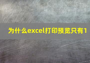 为什么excel打印预览只有1