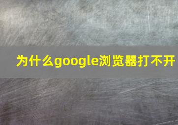 为什么google浏览器打不开