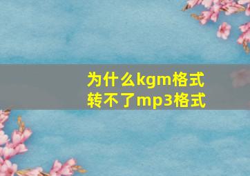 为什么kgm格式转不了mp3格式