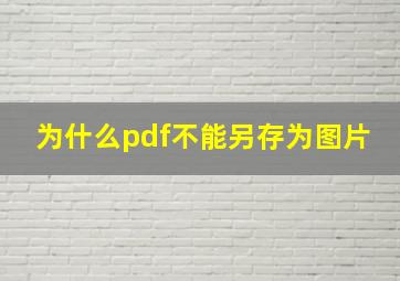 为什么pdf不能另存为图片