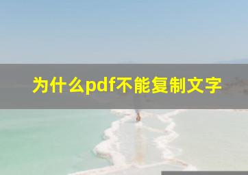 为什么pdf不能复制文字