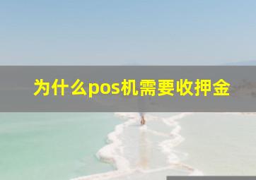 为什么pos机需要收押金