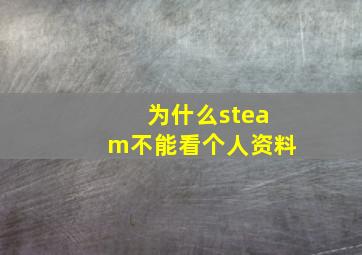 为什么steam不能看个人资料