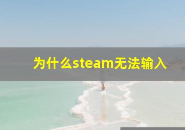 为什么steam无法输入