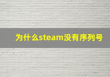 为什么steam没有序列号