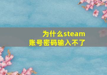 为什么steam账号密码输入不了