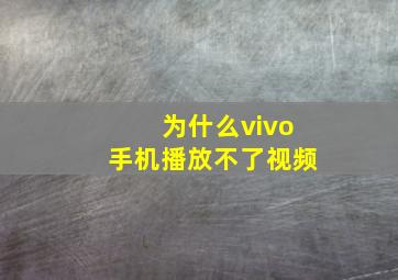 为什么vivo手机播放不了视频