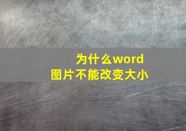 为什么word图片不能改变大小