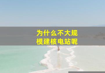 为什么不大规模建核电站呢