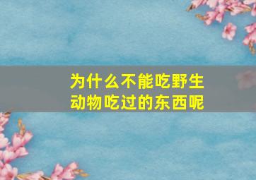 为什么不能吃野生动物吃过的东西呢