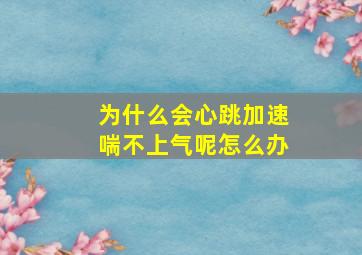 为什么会心跳加速喘不上气呢怎么办