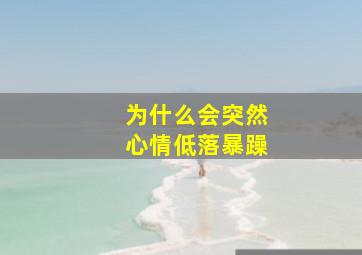 为什么会突然心情低落暴躁