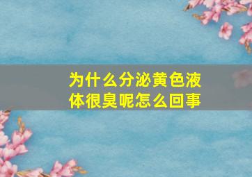 为什么分泌黄色液体很臭呢怎么回事