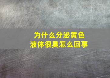 为什么分泌黄色液体很臭怎么回事