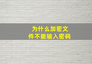 为什么加密文件不能输入密码