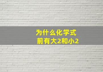 为什么化学式前有大2和小2