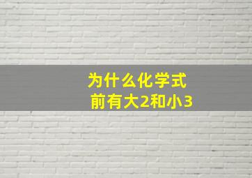 为什么化学式前有大2和小3