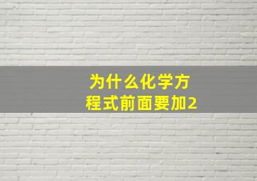 为什么化学方程式前面要加2