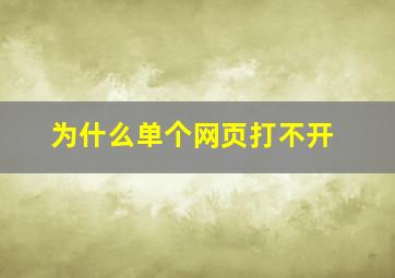 为什么单个网页打不开