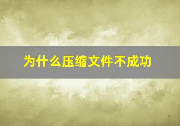 为什么压缩文件不成功