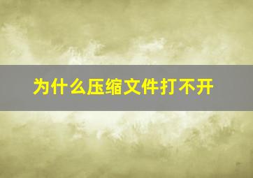 为什么压缩文件打不开