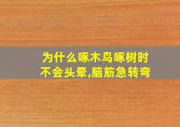 为什么啄木鸟啄树时不会头晕,脑筋急转弯