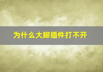 为什么大脚插件打不开