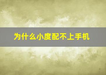 为什么小度配不上手机