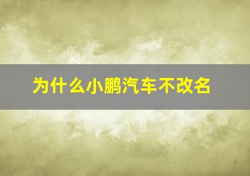 为什么小鹏汽车不改名