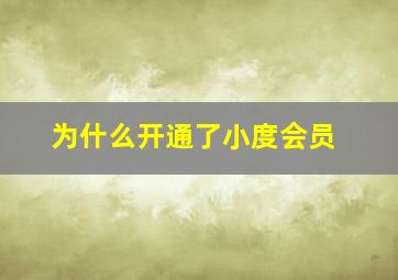 为什么开通了小度会员