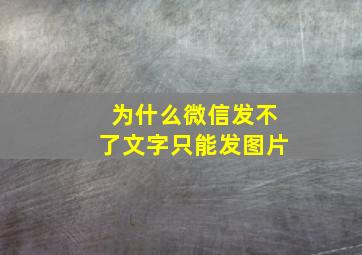 为什么微信发不了文字只能发图片