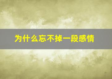 为什么忘不掉一段感情