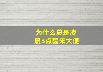 为什么总是凌晨3点醒来大便