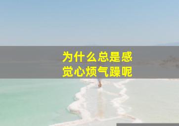 为什么总是感觉心烦气躁呢