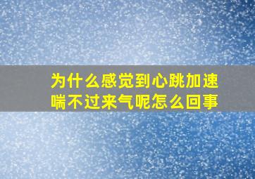 为什么感觉到心跳加速喘不过来气呢怎么回事