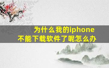 为什么我的iphone不能下载软件了呢怎么办