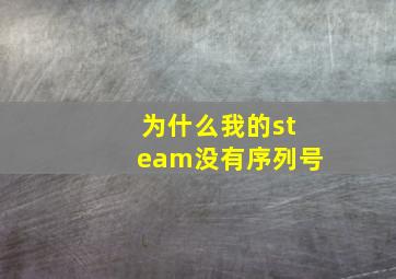 为什么我的steam没有序列号