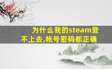 为什么我的steam登不上去,帐号密码都正确