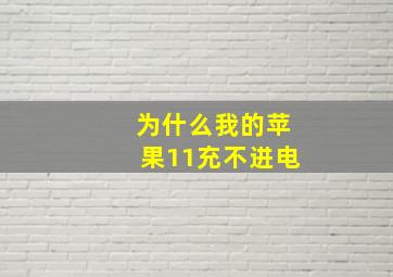 为什么我的苹果11充不进电