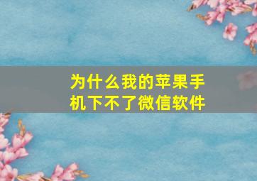 为什么我的苹果手机下不了微信软件