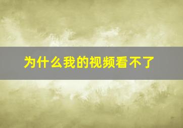 为什么我的视频看不了