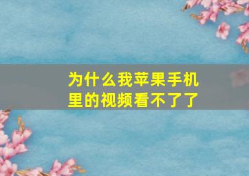 为什么我苹果手机里的视频看不了了