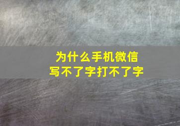 为什么手机微信写不了字打不了字