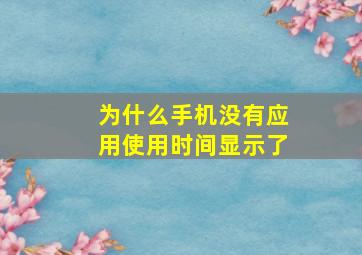 为什么手机没有应用使用时间显示了