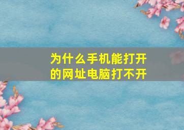 为什么手机能打开的网址电脑打不开