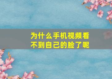 为什么手机视频看不到自己的脸了呢